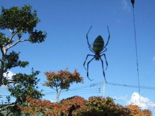 DSCF4745.jpg