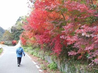 DSCF4936.jpg