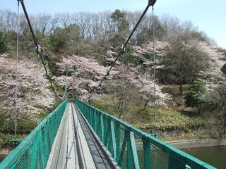DSCF7036.JPG