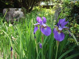 DSCF7060.jpg