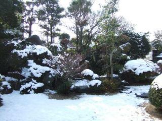 DSCF7385.jpg