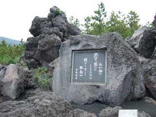 DSCF8802_800x600.jpg