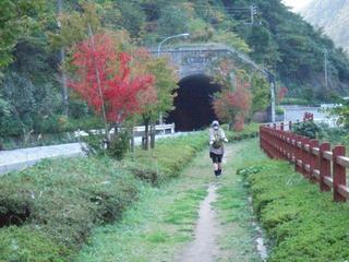 bottom_DSCF6912.jpg