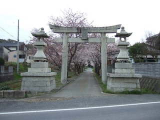 sakuraDSCF7022.JPG